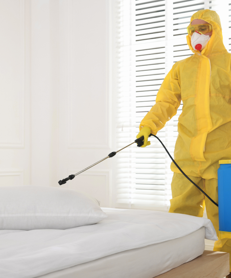 Professional Pest Control Team in McLaren Vale